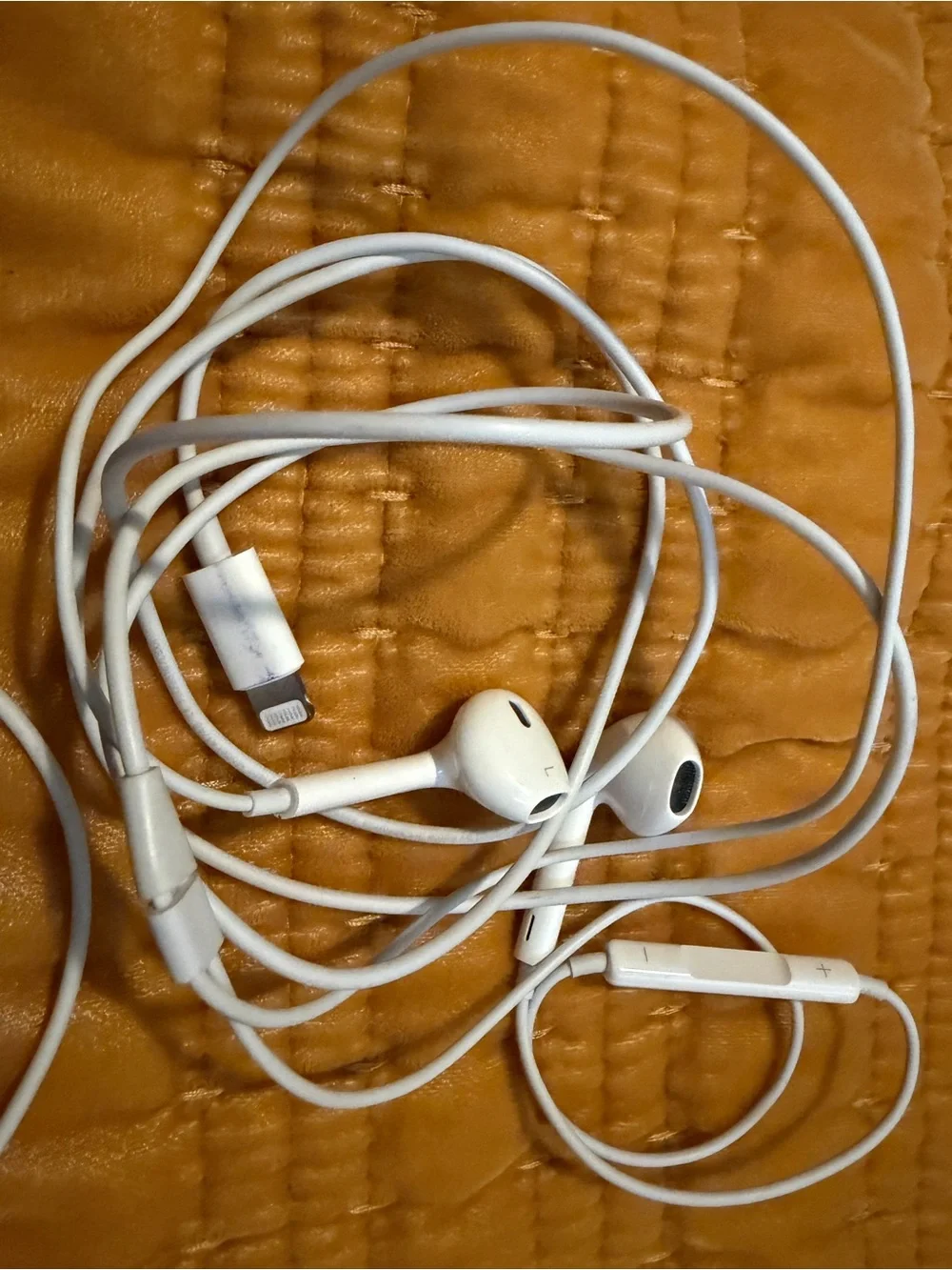 Apple White Wired Earphones with Lightning Connector
